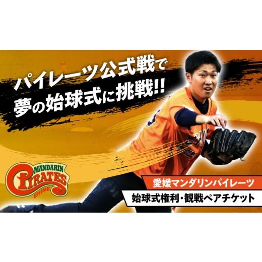 ふるさと納税 体験チケット 愛媛県 内子町 パイレーツ公式戦始球式権(ペア始球式権利/観戦チケット付き)/ 観戦チケット1組2名 野球 試合 体験 応援 ファン…