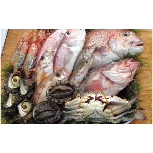 ふるさと納税 醤油 山形県 酒田市 あみえび醤油と金頭のだし醤油セット SZ0020の画像