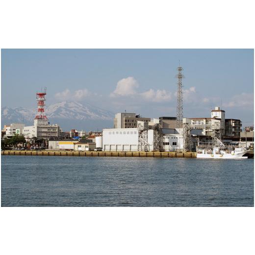 ふるさと納税 醤油 山形県 酒田市 あみえび醤油と金頭のだし醤油セット SZ0020の画像