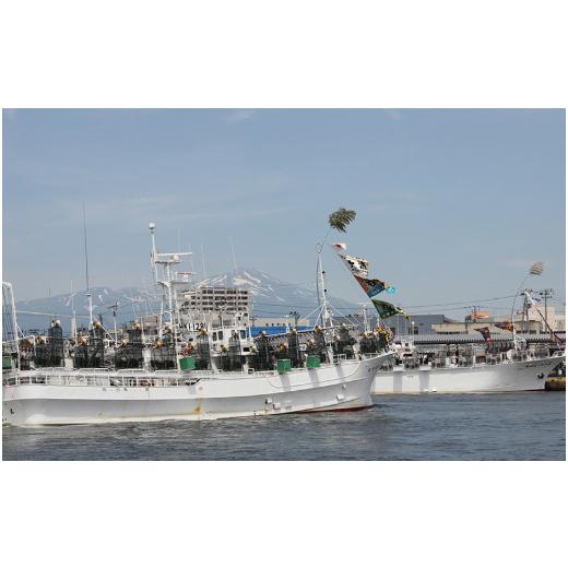ふるさと納税 醤油 山形県 酒田市 あみえび醤油と金頭のだし醤油セット SZ0020の画像