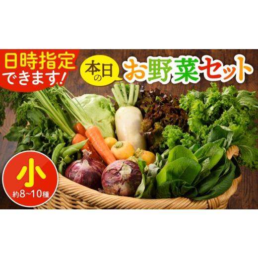 ふるさと納税 セット・詰合せ 宮崎県 綾町 日時指定OK 本日のお野菜セット 〈小サイズ／約8〜10種〉 産地直送 野菜詰め合わせ 有機栽培 野菜 野菜セット 野菜 …の画像