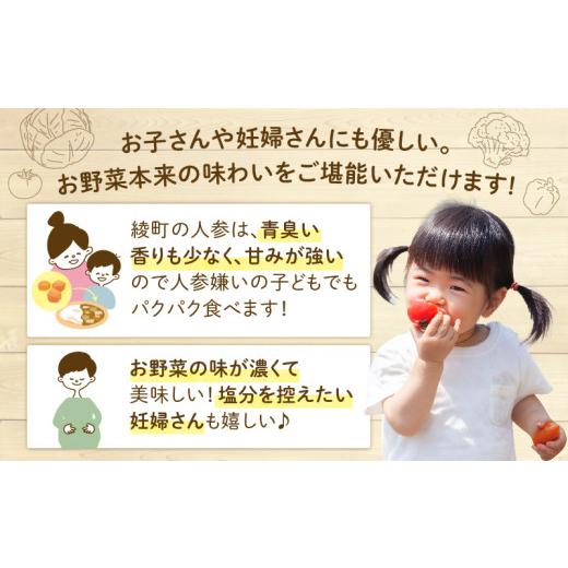 ふるさと納税 セット・詰合せ 宮崎県 綾町 日時指定OK 本日のお野菜セット 〈小サイズ／約8〜10種〉 産地直送 野菜詰め合わせ 有機栽培 野菜 野菜セット 野菜 …の画像