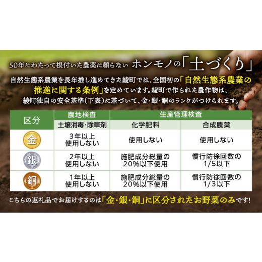 ふるさと納税 セット・詰合せ 宮崎県 綾町 日時指定OK 本日のお野菜セット 〈小サイズ／約8〜10種〉 産地直送 野菜詰め合わせ 有機栽培 野菜 野菜セット 野菜 …の画像