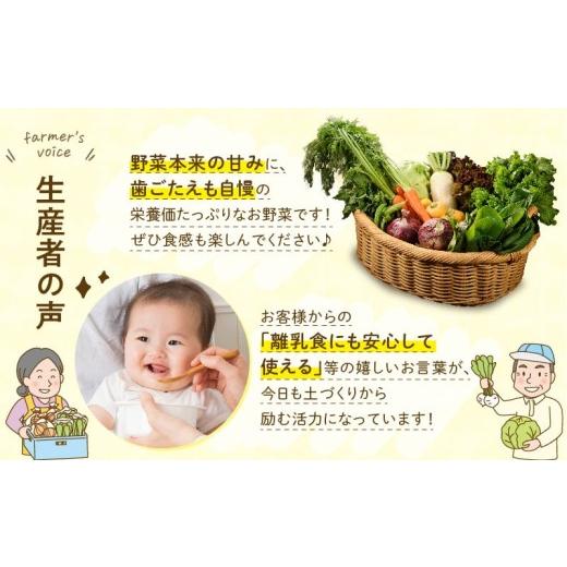 ふるさと納税 セット・詰合せ 宮崎県 綾町 日時指定OK 本日のお野菜セット 〈小サイズ／約8〜10種〉 産地直送 野菜詰め合わせ 有機栽培 野菜 野菜セット 野菜 …の画像