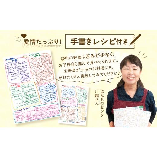 ふるさと納税 セット・詰合せ 宮崎県 綾町 日時指定OK 本日のお野菜セット 〈小サイズ／約8〜10種〉 産地直送 野菜詰め合わせ 有機栽培 野菜 野菜セット 野菜 …の画像