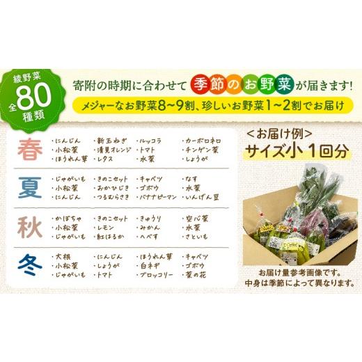 ふるさと納税 セット・詰合せ 宮崎県 綾町 日時指定OK 本日のお野菜セット 〈小サイズ／約8〜10種〉 産地直送 野菜詰め合わせ 有機栽培 野菜 野菜セット 野菜 …の画像