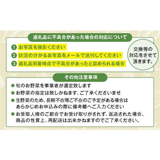 ふるさと納税 セット・詰合せ 宮崎県 綾町 日時指定OK 本日のお野菜セット 〈小サイズ／約8〜10種〉 産地直送 野菜詰め合わせ 有機栽培 野菜 野菜セット 野菜 …の画像