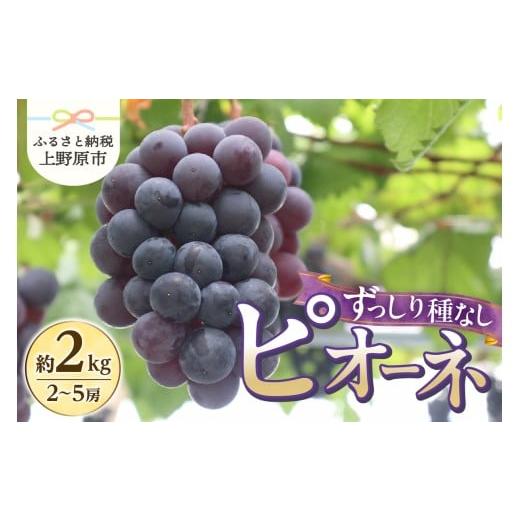 ふるさと納税 果物類 ぶどう 山梨県 上野原市 ＼2026年先行予約/ 山梨県産 ぶどう約2kg(種なしピオーネ)山梨県産 ピオーネ 種なし 約2kg 2〜5房 ぶどう 葡…