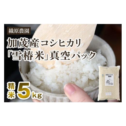 ふるさと納税 米 コシヒカリ 新潟県 加茂市 令和7年産新米 新潟産コシヒカリ「雪椿米」特別栽培米 精米5kg[順次出荷] 白米真空パック 従来品種コシヒカリ …