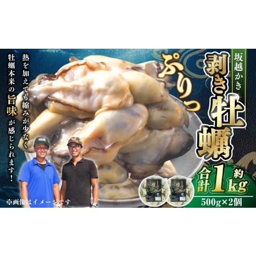 ふるさと納税 牡蠣 生牡蠣 兵庫県 赤穂市 牡蠣 坂越かき 剥き牡蠣 約500g×2パック 計約1kg 2025年12月上旬〜2026年4月下旬まで発送予定 / かき カキ オイス…