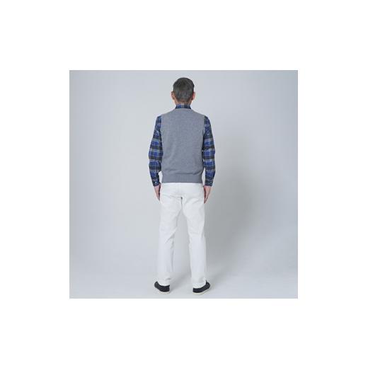 ふるさと納税 服 男 大阪府 泉大津市 日本製 カシミヤ100% Vベスト ライトグレー Lサイズ 2551の画像