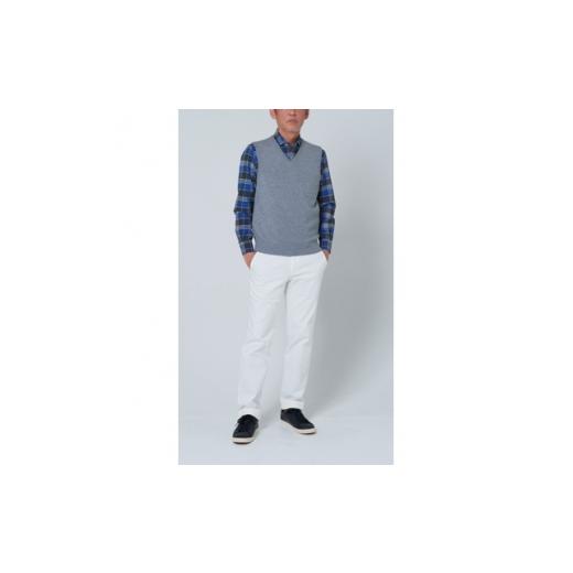 ふるさと納税 服 男 大阪府 泉大津市 日本製 カシミヤ100% Vベスト ライトグレー 2Lサイズ 2552の画像