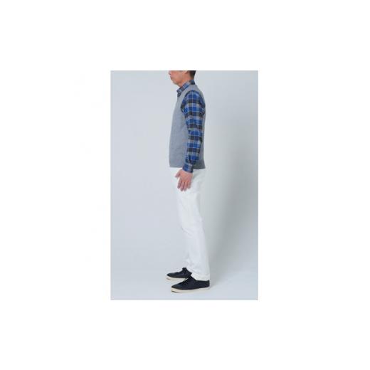 ふるさと納税 服 男 大阪府 泉大津市 日本製 カシミヤ100% Vベスト ライトグレー 2Lサイズ 2552の画像
