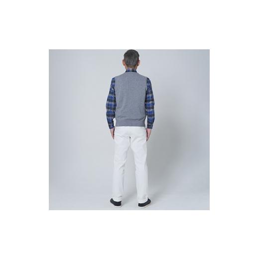 ふるさと納税 服 男 大阪府 泉大津市 日本製 カシミヤ100% Vベスト ライトグレー 2Lサイズ 2552の画像