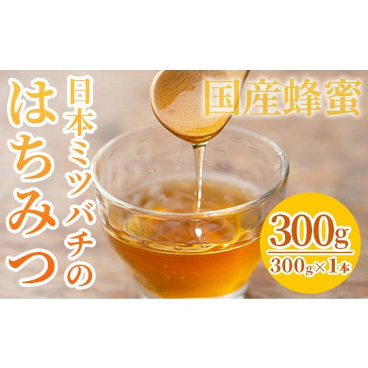 ふるさと納税 鹿児島県 いちき串木野市 A-895H 数量限定!日本ミツバチ 百花蜜300g