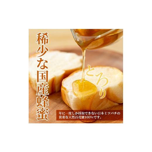 ふるさと納税 加工品等 はちみつ 鹿児島県 いちき串木野市  数量限定 国産はちみつ 非加熱 瓶入り 600g×1本 ニホンミツバチ から分けてもらった 無添加 百花 …の画像