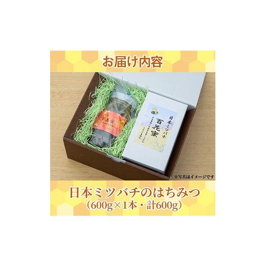 ふるさと納税 加工品等 はちみつ 鹿児島県 いちき串木野市  数量限定 国産はちみつ 非加熱 瓶入り 600g×1本 ニホンミツバチ から分けてもらった 無添加 百花 …の画像