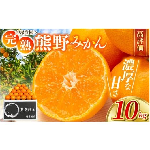 ふるさと納税 果物類 みかん 三重県 熊野市 先行予約 仲森農園の完熟熊野みかん 10kg (早生温州みかん) 2026年11月下旬から12月下旬に発送 みかん ミカン 蜜…
