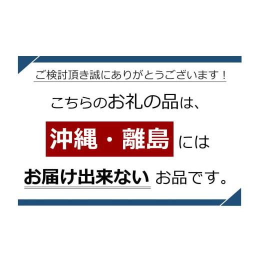ふるさと納税 雑貨・日用品 長野県 木島平村  マッサージチェア フェーヴ A600-01 | 日用品 家電 マッサージチェア フェーヴ 長野県 木島平村 信州の画像