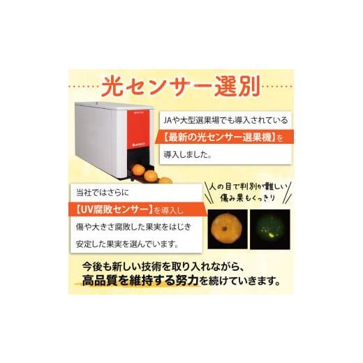 ふるさと納税 果物類 みかん 和歌山県 北山村  2026年秋頃発送予約分 ＼光センサー選別／ 農家直送 甘くて濃厚 希少品種 ご家庭用 ゆら早生みかん 約10kg サイ… |  | 04