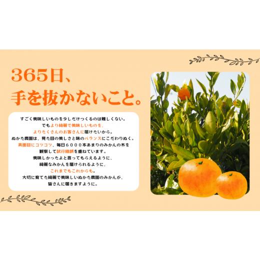 ふるさと納税 果物類 みかん 和歌山県 北山村  2026年秋頃発送予約分 ＼光センサー選別／ 農家直送 甘くて濃厚 希少品種 ご家庭用 ゆら早生みかん 約10kg サイ… |  | 05