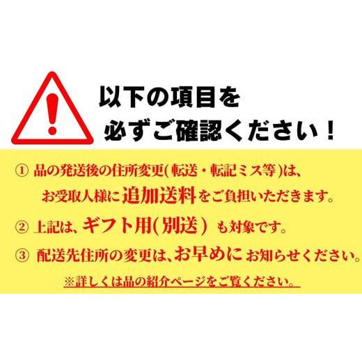 ふるさと納税 文房具・玩具 万年筆 大分県 豊後高田市 銘木・世界樹万年筆（白檀／クリップ付き）中字 中字（M）_2