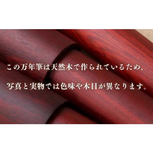 ふるさと納税 文房具・玩具 万年筆 大分県 豊後高田市 銘木・世界樹万年筆（白檀／クリップ付き）中字 中字（M）_6