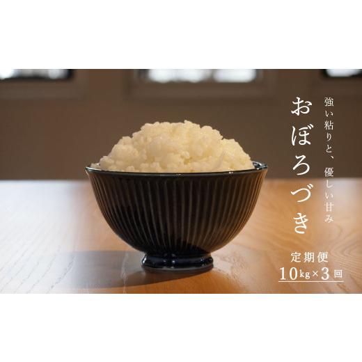 ふるさと納税 米 北海道 当麻町  令和８年産先行受付 長谷川農園おぼろづき10kg（3回コース） 定期便の画像