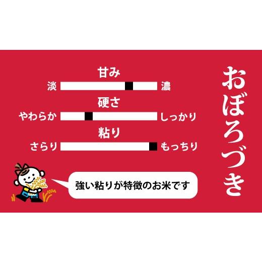 ふるさと納税 米 北海道 当麻町  令和８年産先行受付 長谷川農園おぼろづき10kg（3回コース） 定期便の画像