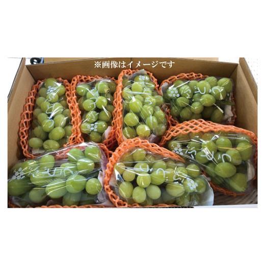 ふるさと納税 長野県 須坂市 [No.5657-2630]シャインマスカット 約3kg