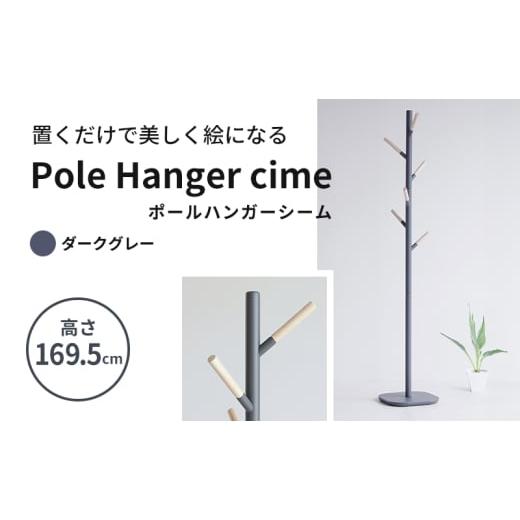 ふるさと納税 雑貨・日用品 インテリア 兵庫県 加西市 期間限定寄附額 ポールハンガー シーム ダークグレー ハンガーラック 木製 インテリア 家具