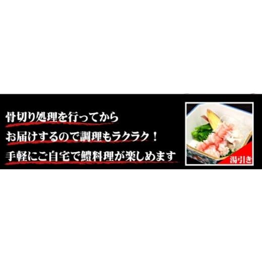 ふるさと納税 山口県 宇部市 天然ハモ(骨切りパック 1kg)＜宇部魚市場＞｜furusatochoice｜06