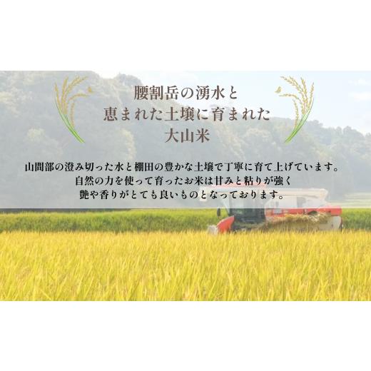 ふるさと納税 玄米 山口県 宇部市 玄米 令和7年産米 宇部市小野 大山産米 玄米20kg 玄米 げんまい ゲンマイ 玄マイ ゲン米 玄まい げん米 20kg 米 20キロ 精米…_2