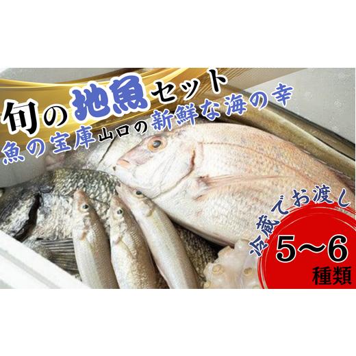 ふるさと納税 山口県 宇部市 [魚千代]魚介類詰め合わせ