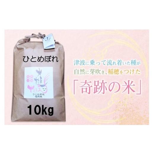 ふるさと納税 岩手県 大槌町 [思いやり型返礼品]奇跡の米「大槌復興米」10キロ