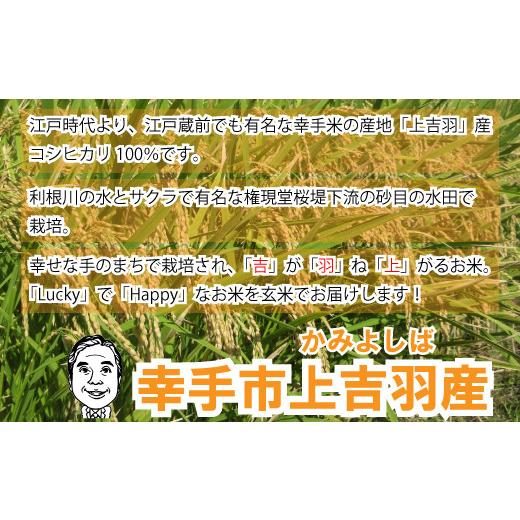ふるさと納税 埼玉県 幸手市 【令和５年産米】ハッピー(幸手市)でラッキー(上吉羽)なお米 コシヒカリ定期便 玄米10kg×全3回 幸手市