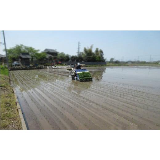 ふるさと納税 埼玉県 幸手市 【令和５年産米】ハッピー(幸手市)でラッキー(上吉羽)なお米 コシヒカリ定期便 玄米10kg×全3回 幸手市