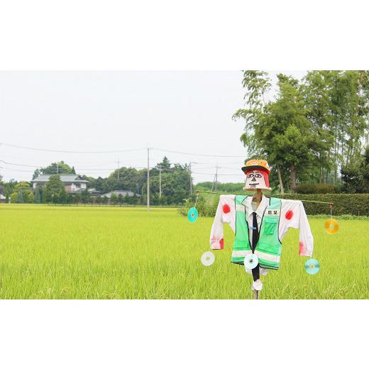 ふるさと納税 埼玉県 幸手市 【令和５年産米】ハッピー(幸手市)でラッキー(上吉羽)なお米 コシヒカリ定期便 玄米10kg×全3回 幸手市