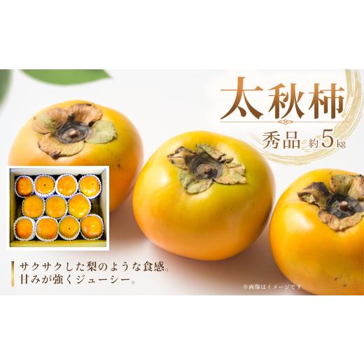ふるさと納税 果物類 柿 愛媛県 西条市 太秋柿 かき 柿(秀品)約5kg 愛媛県西条市 JA東予園芸 先行予約・10月発送 | 柿 くだもの おすすめ 人気 果物 か…