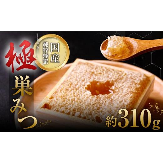 ふるさと納税 加工品等 はちみつ 福岡県 八女市 はちみつ 「極（キワミ)巣みつ」 蜜蜂が巣に貯蔵したままの蜂蜜です 310g 蜂蜜 ハチミツ コムハニー 国産 デザ…の画像