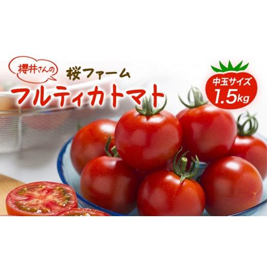 ふるさと納税 トマト 兵庫県 加西市 トマト 桜ファーム の 中玉トマト フルティカ 1.5kg とまと おいしい 箱入り ボックス 安心安全 農家直送 樹上完熟 ジュー…