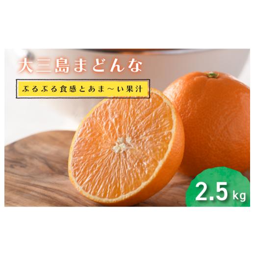 ふるさと納税 果物類 みかん 愛媛県 今治市 先行予約 数量限定 ホリ田ヤ 大三島まどんな 2.5キロ