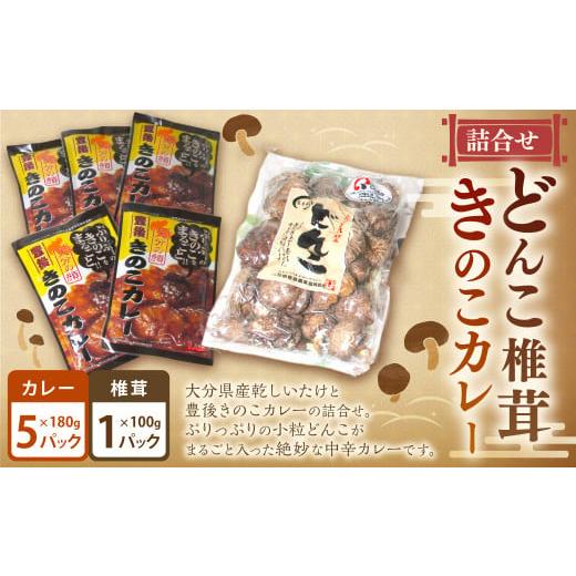 ふるさと納税 大分県 九重町 どんこ 椎茸 100g×1袋・ きのこ カレー 180g×5袋 詰合せ セット