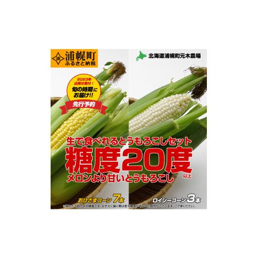 ふるさと納税 北海道 浦幌町 とうもろこし2種セット  合計10本（おひさまコーン７本、ロイシーコーン３本） 元木農場 北海道浦幌町産 生でも食べられる糖度20…｜furusatochoice｜02