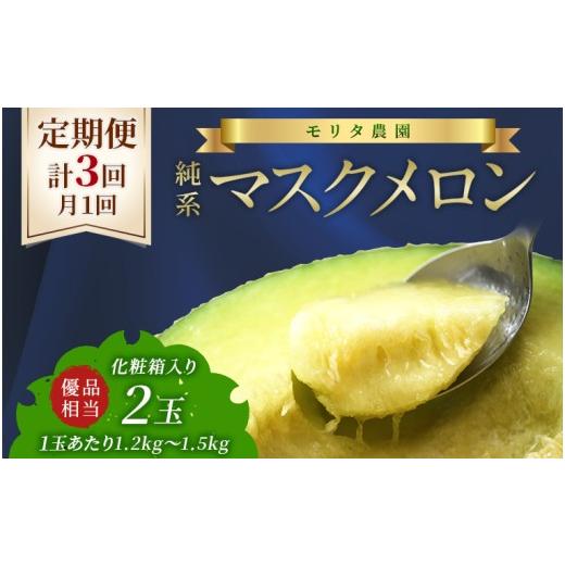 ふるさと納税 メロン メロン青肉 千葉県 富津市 定期便3ヶ月 純系マスクメロン2玉 通年栽培 :2026年10〜12月発送分 マスクメロン メロン フルーツ 果…