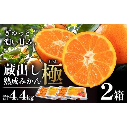 ふるさと納税 果物類 みかん 徳島県 佐那河内村 先行予約 蔵出し熟成みかん『極』 2箱 [2月中旬-2月末頃出荷予定]みかん ミカン 蜜柑 mikan 貯蔵 柑橘 佐那…