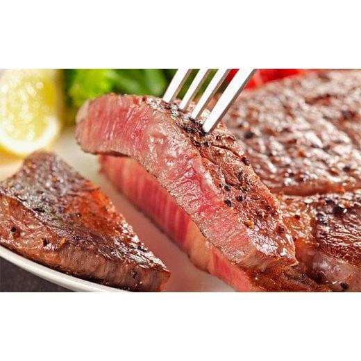 送料無料 ふるさと納税 滋賀県 栗東市 厳選近江牛ブロック肉　900g 【QGW9937445206】(35000円)