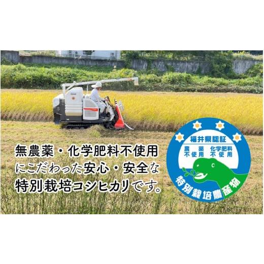 ふるさと納税 福井県 永平寺町 令和5年産  無農薬・化学肥料不使用 永平寺町寺本の米 特別栽培コシヒカリ 玄米 5kg [B-027009]｜furusatochoice｜03