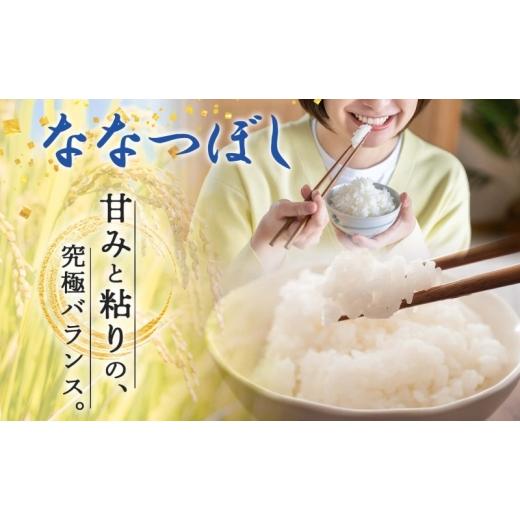 ふるさと納税 米 北海道 月形町  令和8年産先行予約 北海道 定期便 4ヵ月連続4回 令和8年産 ななつぼし 無洗米 5kg×1袋 特A 米 白米 ご飯 お米 ごはん 国産 …の画像