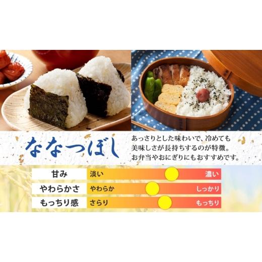 ふるさと納税 米 北海道 月形町  令和8年産先行予約 北海道 定期便 4ヵ月連続4回 令和8年産 ななつぼし 無洗米 5kg×1袋 特A 米 白米 ご飯 お米 ごはん 国産 …の画像